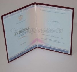 Аттестат За 11 Класс 2022г Золото СпецБланк во Владивостоке