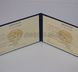 Диплом Техникума Украинской ССР во Владивостоке