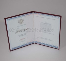 Аттестат За 11 Класс 2016г Золото ГОЗНАК во Владивостоке