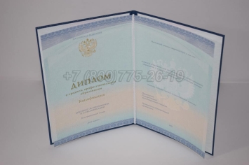 Диплом Колледжа 2024г СпецБланк во Владивостоке