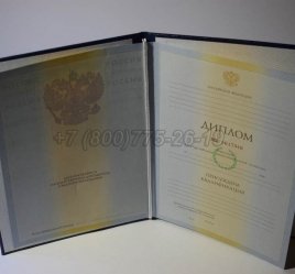 Диплом Института 2010г во Владивостоке