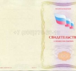 Свидетельство о Профессии Рабочего "Авиационный механик (техник) по планеру и двигателям" во Владивостоке