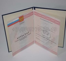 Аттестат За 11 Класс 2009г во Владивостоке