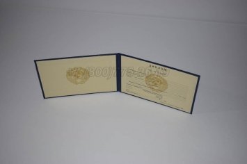 Диплом Техникума Советского Союза 1995г во Владивостоке