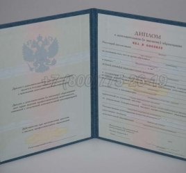 Диплом MBA 2022г во Владивостоке