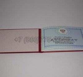 Аттестат Профессора 2022г во Владивостоке