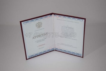 Аттестат За 11 Класс 2021г Золото ГОЗНАК во Владивостоке
